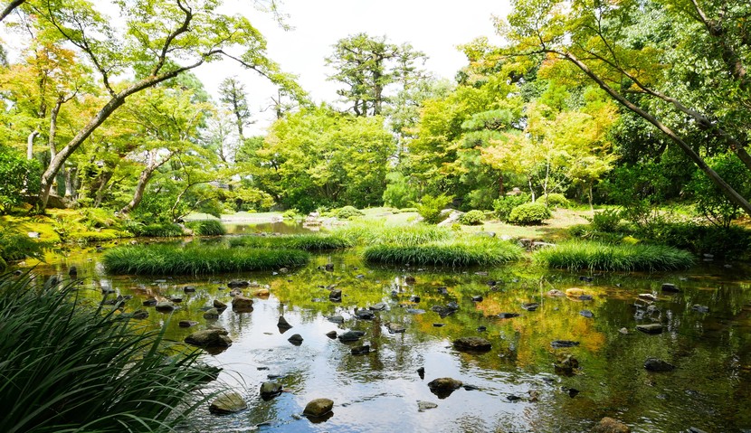 緑を楽しむ初夏の京都　マイナスイオンたっぷり南禅寺水路閣を歩く